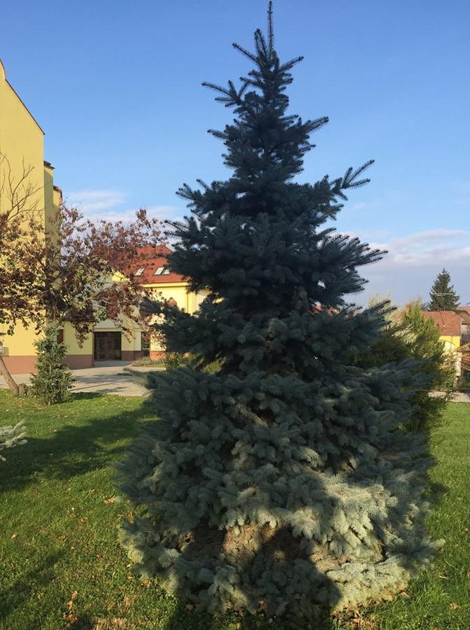 MAMRE Szálló Hajduboszormeny Exterior foto