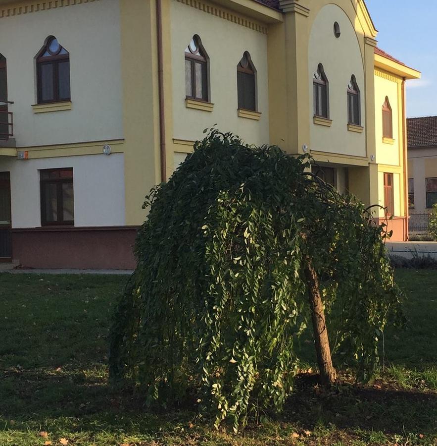 MAMRE Szálló Hajduboszormeny Exterior foto